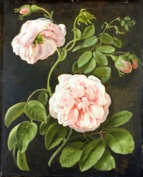 Blumenstudie